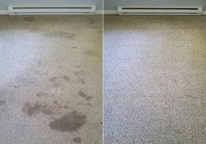 carpet & upholstery cleaning