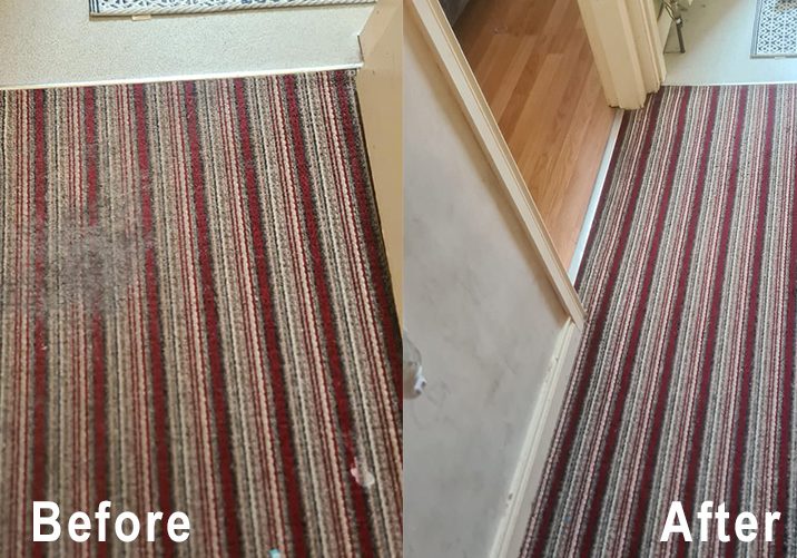 carpet & upholstery cleaning in belfast