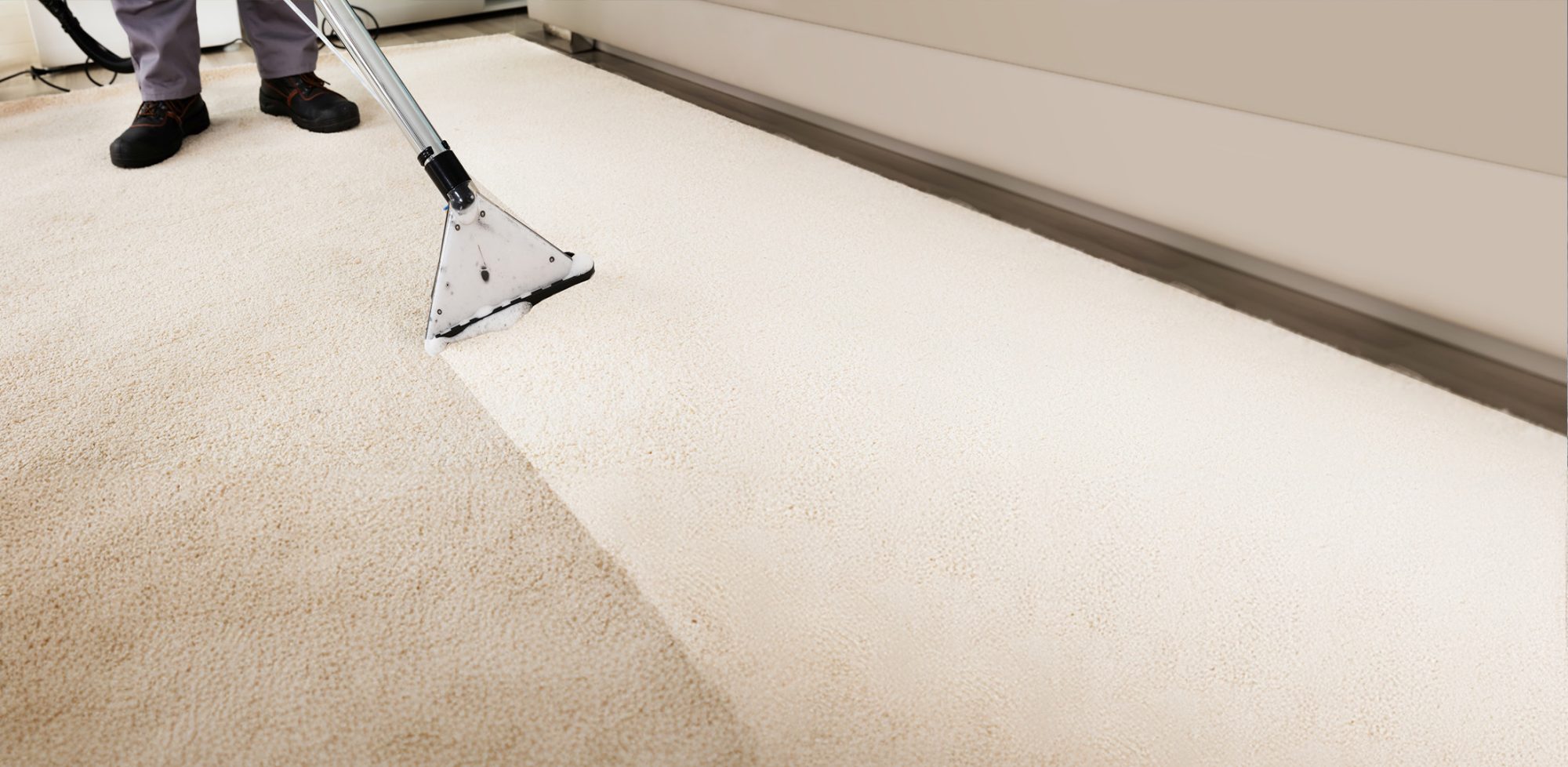 carpet cleaning